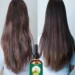 Revitalize Dry Hair with This Deep Nourishing Hair Oil Treatment Review